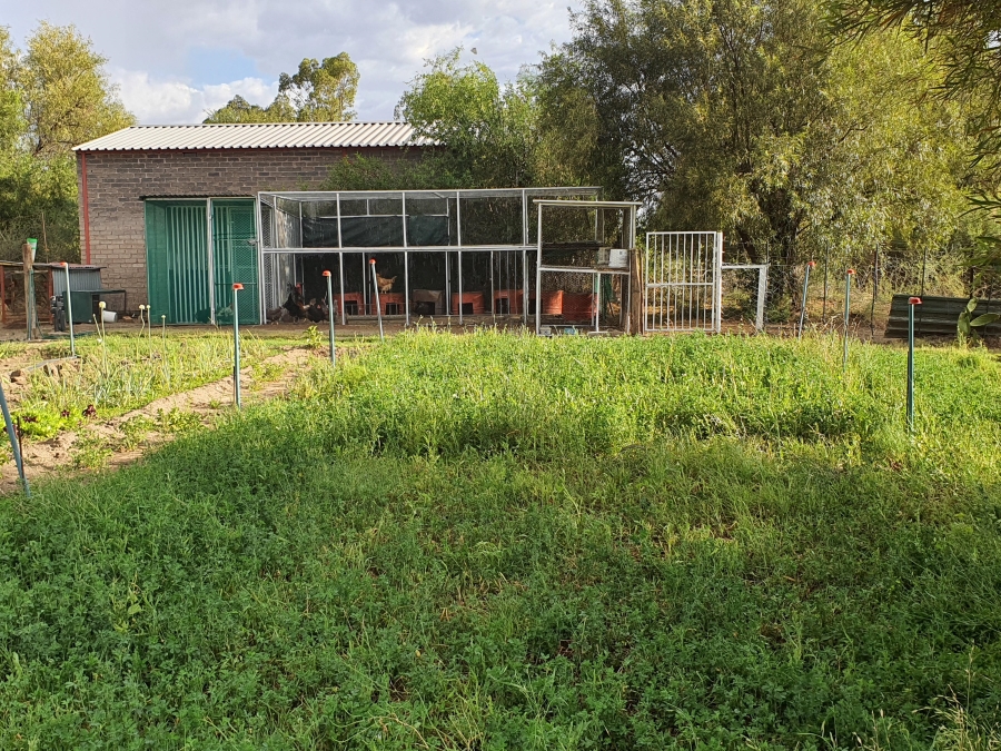 5 Bedroom Property for Sale in Douglas Northern Cape